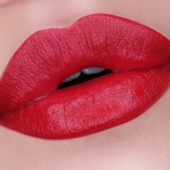 ✨️NEW PRETTY VULGAR Love Birds Lip Duo with Ultra-Pigmented Red Matte Li… - Picture 2 of 3